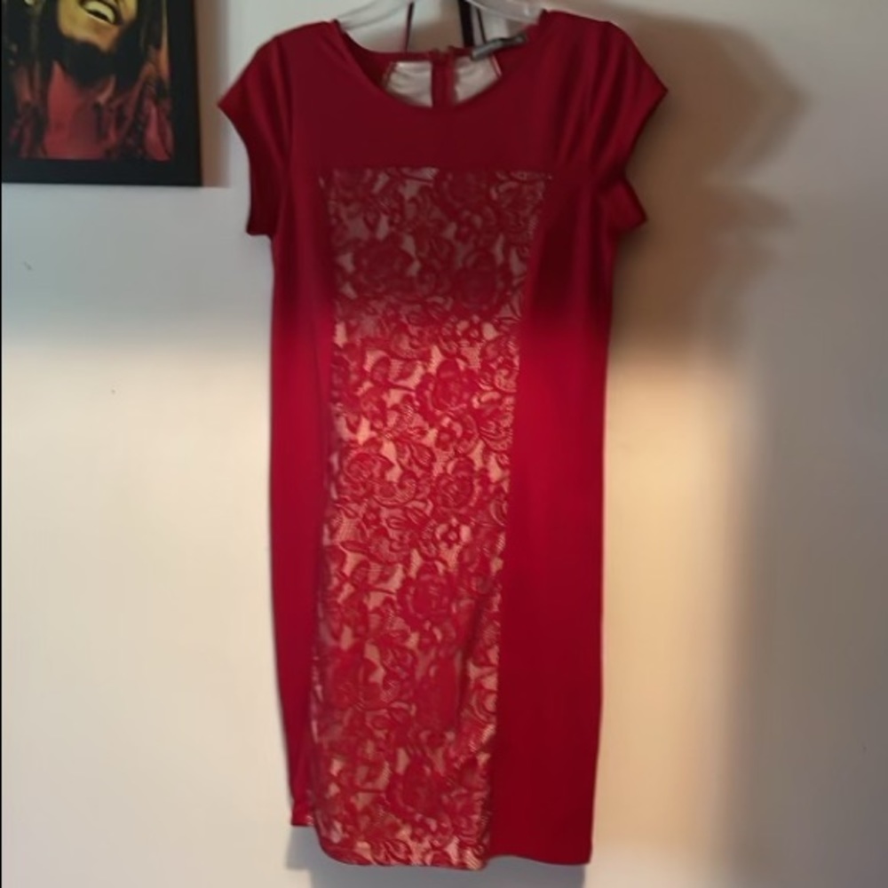 red rose dress